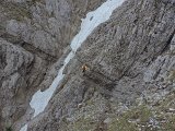 30 Ferrata MAURIZIO Anticima est Monte Alben